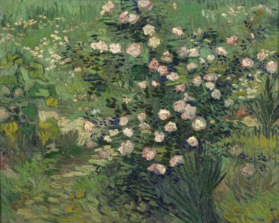 バラ、1889年 作： Vincent van Gogh