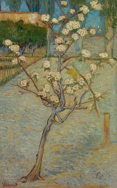 花咲くセイヨウナシ 作： Vincent van Gogh