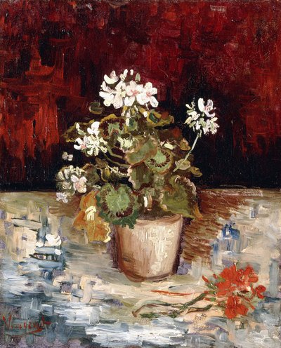 ゼラニウムの静物ポット、1886 作： Vincent van Gogh