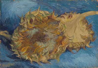 ひまわり、1887年。 作： Vincent van Gogh