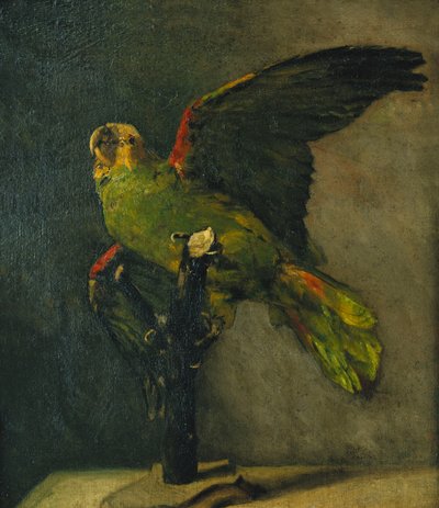 緑のオウム。緑のオウム、1885 作： Vincent van Gogh