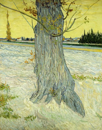 年老いた木；Le Vieil If 作： Vincent van Gogh