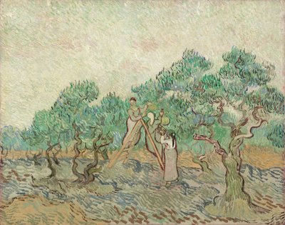 オリーブ果樹園、1889 年。 作： Vincent van Gogh
