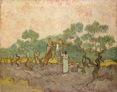 オリーブピッカー、サンレミー 作： Vincent van Gogh