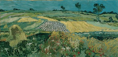 オーヴェルの平原、1890 作： Vincent van Gogh