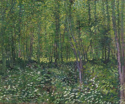 木々とアンダーウッド、1887 作： Vincent van Gogh