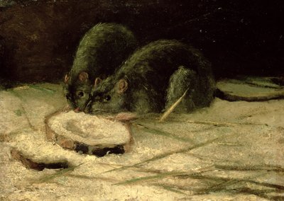 2匹のネズミ、1884年頃 作： Vincent van Gogh