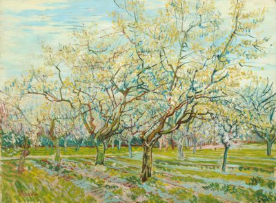 V.ヴァンゴッホ、ホワイトオーチャード 作： Vincent van Gogh