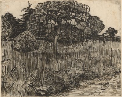 シダレザクラ 作： Vincent van Gogh