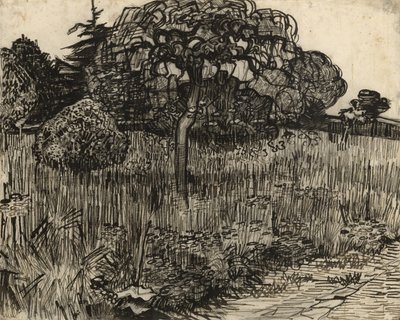 しだれの木、1889 作： Vincent van Gogh