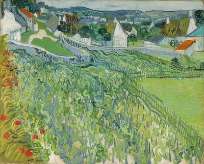 オーヴェルのブドウ畑。 1890 作： Vincent van Gogh