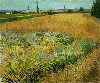 小麦畑 作： Vincent van Gogh
