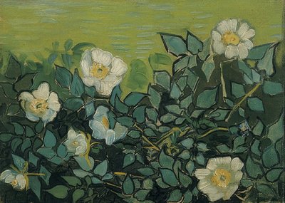 Wildrosen。 1889 作： Vincent van Gogh