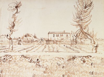 アルルのフィールドでの作業。アルルの畑の耕作者、1888 作： Vincent van Gogh