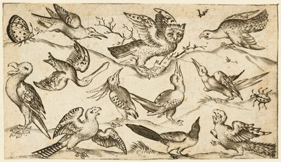 最小限の地面に 11 羽の鳥と 2 羽の昆虫と翼を広げたフクロウ..., 1572. 作： Virgil Solis