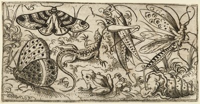 草の生えた平地にいる昆虫と動物の群れ..., 1530 - 1562. 作： Virgil Solis