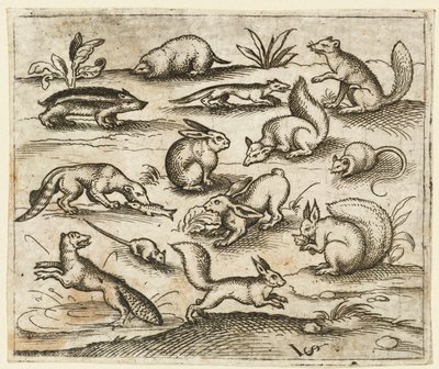 ネズミを含む、池の周りを食べたり走ったりする小さな森の生き物のグループ., 1557. 作： Virgil Solis