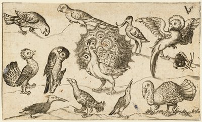 中央のクジャクは、七面鳥と蝶を含む 9 羽の鳥に囲まれています..., 1572. 作： Virgil Solis