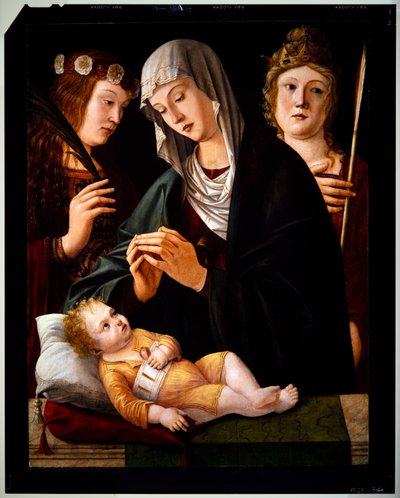 聖母子と二人の女性聖人、年代未詳（パネル） 作： Vittore Carpaccio