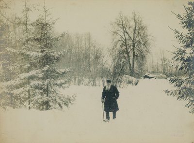 Lev Nikolayevich Tolstoyウォーキングを数えます。 作： Vladimir Grigorievich Chertkov