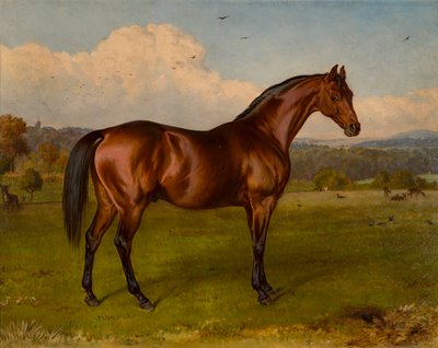 ドンカスターカップのリトリート勝者、1870〜92年頃（キャンバスに油彩） 作： W.H. Hopkins