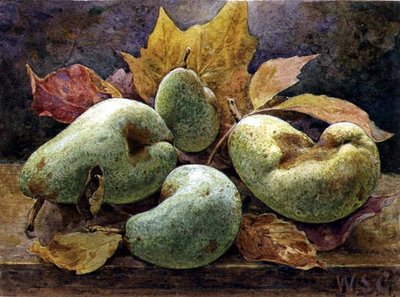 奇数と偶数（洋梨） 作： W.S. Goodwin