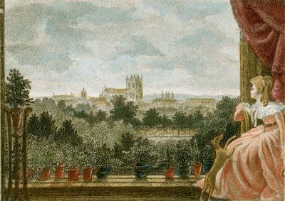 1789年、ロンドンのポール・モール80-82番地にあるショムバーグ・ハウスのコスウェイ夫人の朝食室からの眺め 作： W Birch