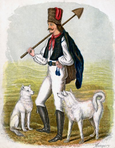 犬を持つハンガリー人、1809年。 作： W. Dickes