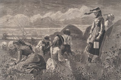 ベリーを集める ハーパーズ ウィークリー Vol. XVIII、1874 年 7 月 11 日。 作： W. H. Lagarde