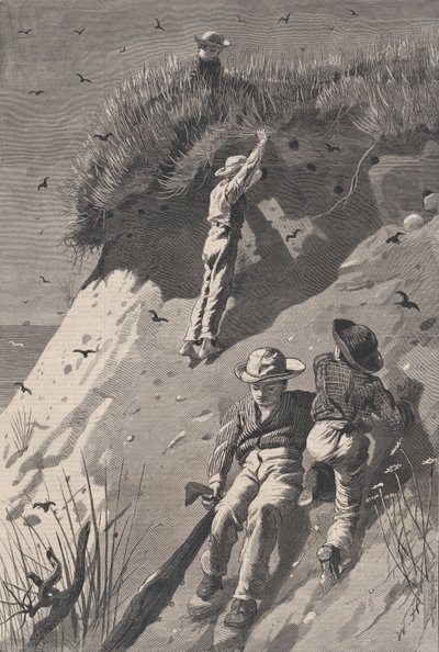 砂ツバメのコロニー襲撃 - 卵の数 ハーパーズ ウィークリー Vol. XVIII、1874 年 6 月 13 日。 作： W. H. Lagarde