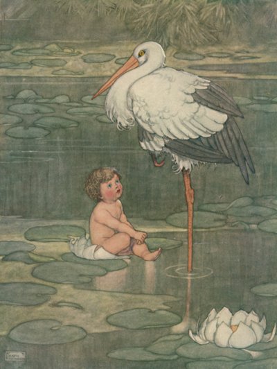 完全に吹かれた花、c1930に開いたつぼみ 作： William Heath Robinson