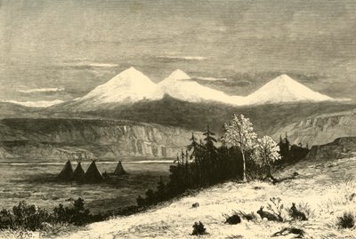 三人姉妹」1872年   作： W. J. Linton