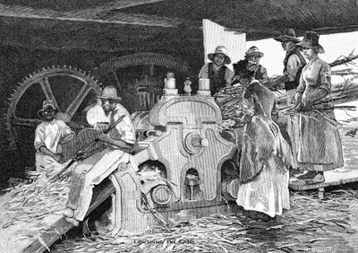杖をつぶす、1886年。 作： W. Mollier