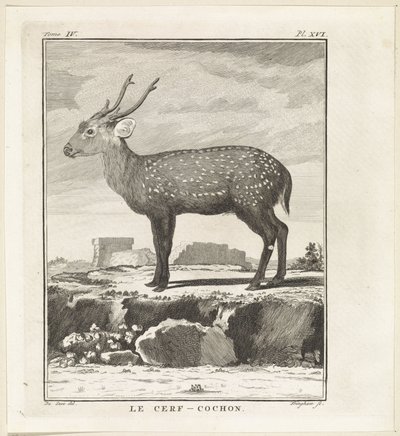 ハート Le Cerf-Cochon (オブジェクトのタイトル) 作： W. Tringham
