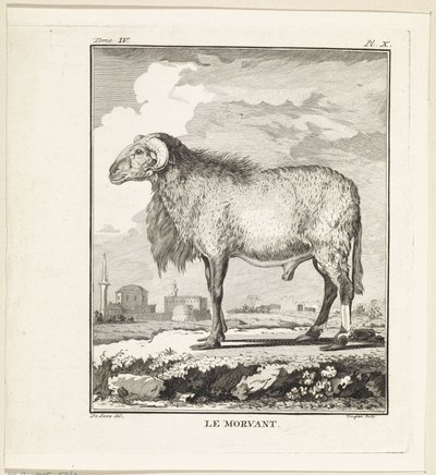 Ram Le Morvant (title on object)   1377588   ja       japanese Successfully Translated  Original: The Triumph of Death, plate five from The Triumphs of Petrarch Translat: The Triumph of Death, plate five from The Triumphs of Petrarch 1281737 ja japanese Su 作： W. Tringham
