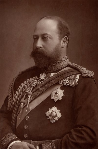 "エドワード7世（1841-1910）1901年からのイギリス国王（プリンス・オブ・ウェールズ在位中）。(ウッドベリータイプ) 作： W. and D. (after) Downey