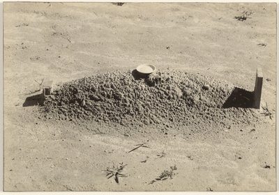 アラバマ州ヘール郡、バプティストの墓 作： Walker Evans
