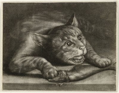 魚と猫 作： Wallerant Vaillant