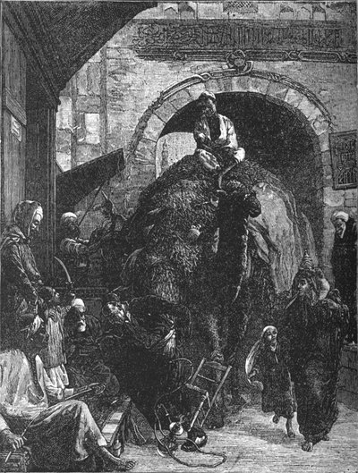 カイロの狭い道、c1882 作： Walter Charles Horsley