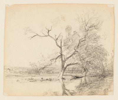 風景画 作： Walter Clark
