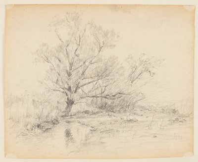 風景画 作： Walter Clark