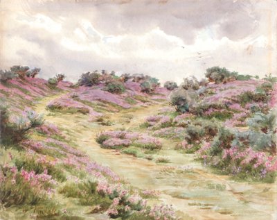 セトリー平原のベル・ヘザー（水彩画） 作： Walter Frederick Roofe Tyndale
