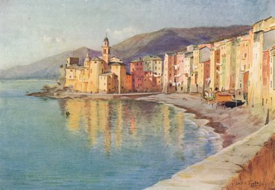 カモーリ、c1910、1912 作： Walter Frederick Roofe Tyndale