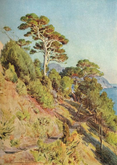 ヴィラピウマ、セストリレバンテ、c1910、1912 作： Walter Frederick Roofe Tyndale