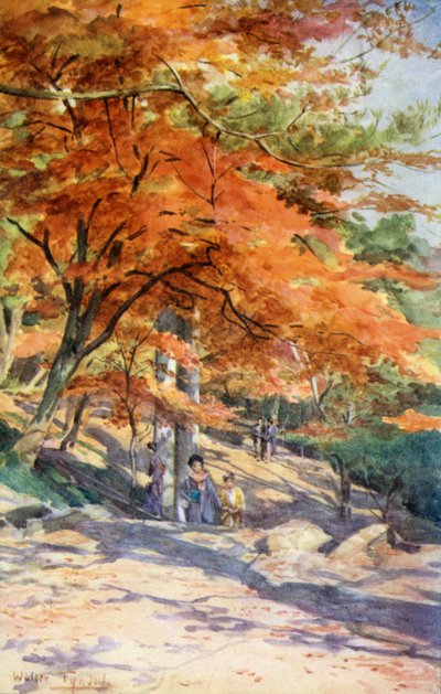東京近郊の大森にあるもみじ 作： Walter Frederick Roofe Tyndale