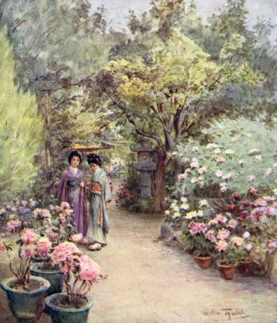 茶庭の牡丹 作： Walter Frederick Roofe Tyndale