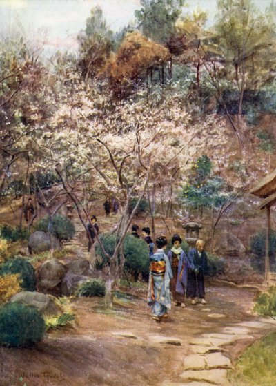 熱海の梅 作： Walter Frederick Roofe Tyndale