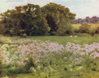 ザ・ニュー・フォレストリバーズデール、ボールドル（カラーリトグラフ 作： Walter Frederick Roofe Tyndale