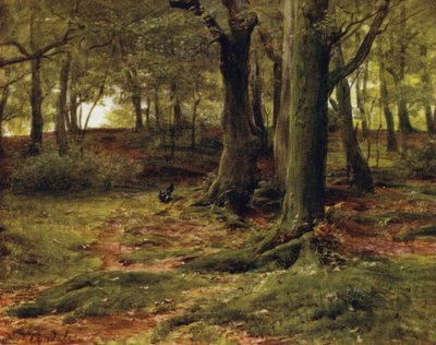 ザ・ニュー・フォレストThe Hill Woods, Lyndhurst (カラーリトグラフ) 作： Walter Frederick Roofe Tyndale