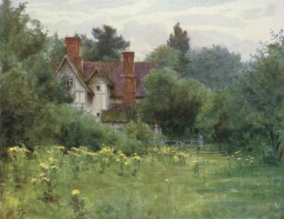 ザ・ニュー・フォレストThe Mill House, Brokenhurst（カラーリトグラフ版 作： Walter Frederick Roofe Tyndale